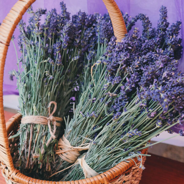 CALMA Óleo perfumado de Lavanda